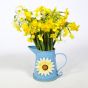 30 Narcissi Flowers